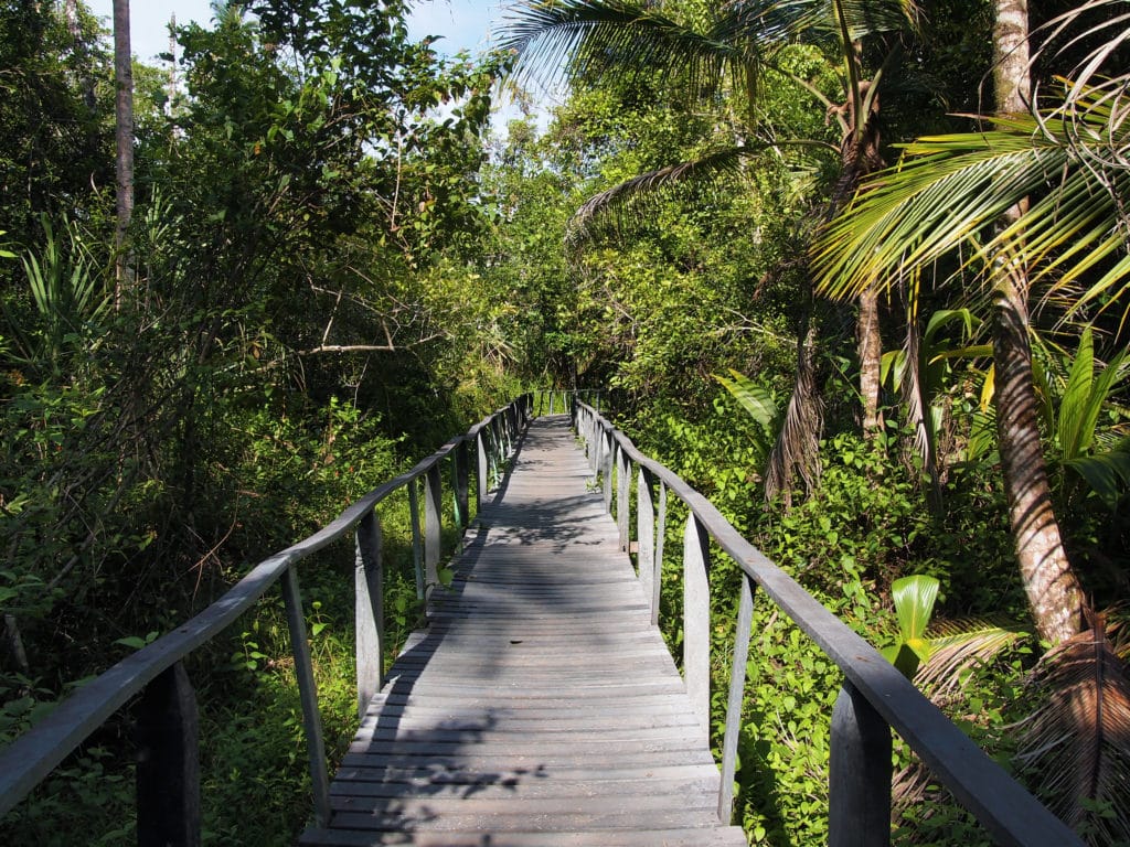 Cahuita National Park, Costa Rica