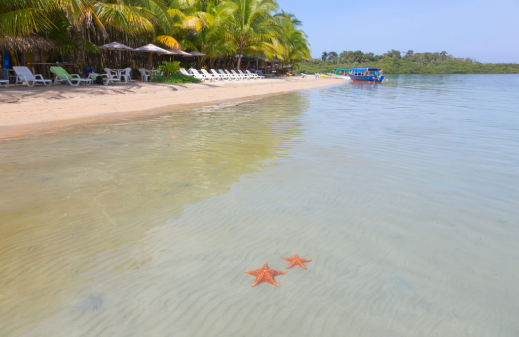 Starfish Beach Bocas del Toro Panama