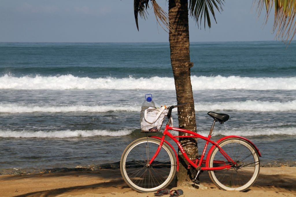 Red bicycle leaning against a tree in Bocas del Toro 