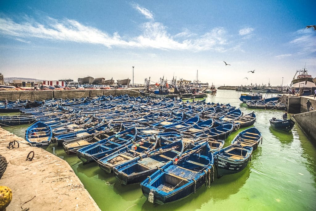 Essaouira fishing boats