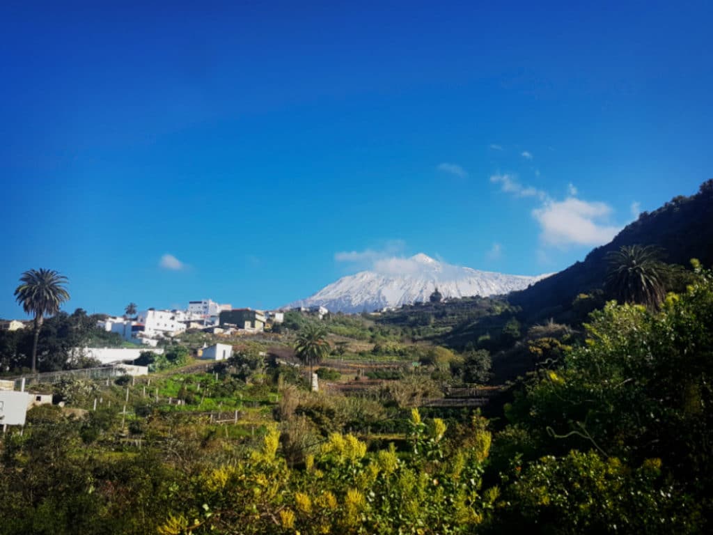 Tenerife Canary Islands