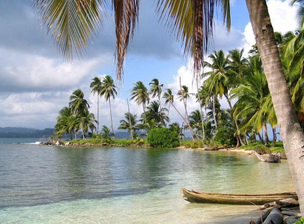 Beach in Panama with palm trees