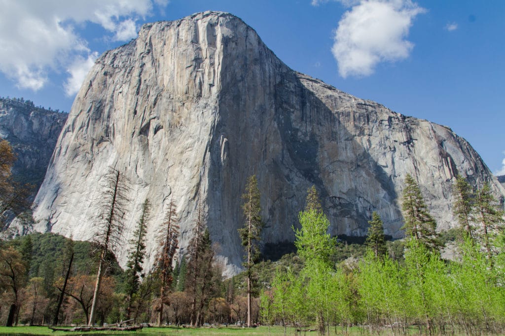 View of El Capitan in Yosemite Valley