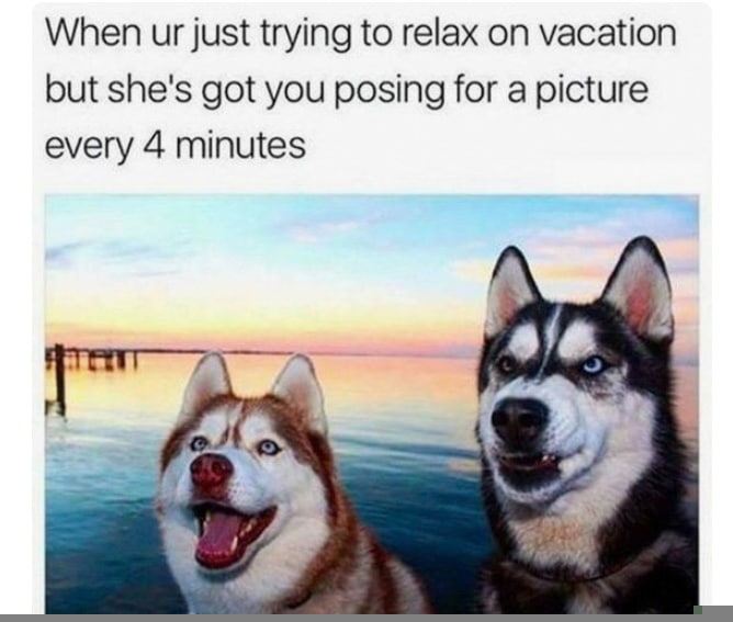 Huskies travel meme