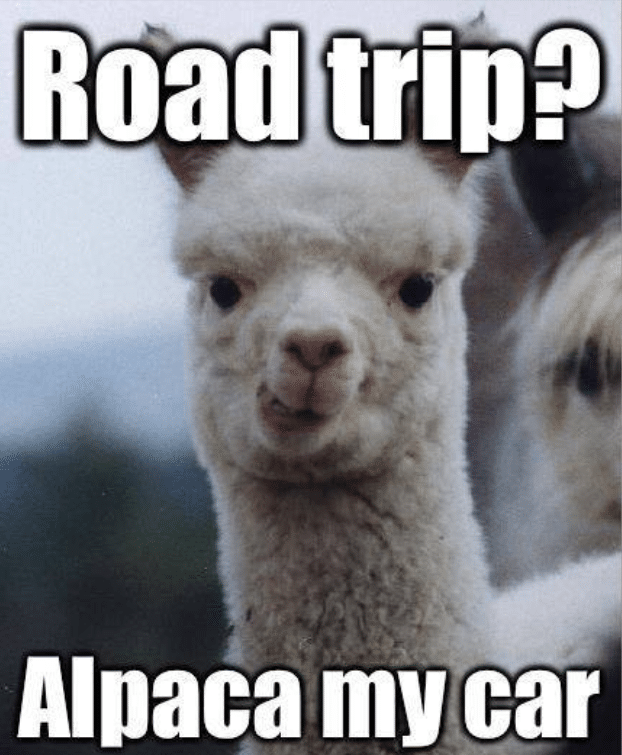 happy road trip meme