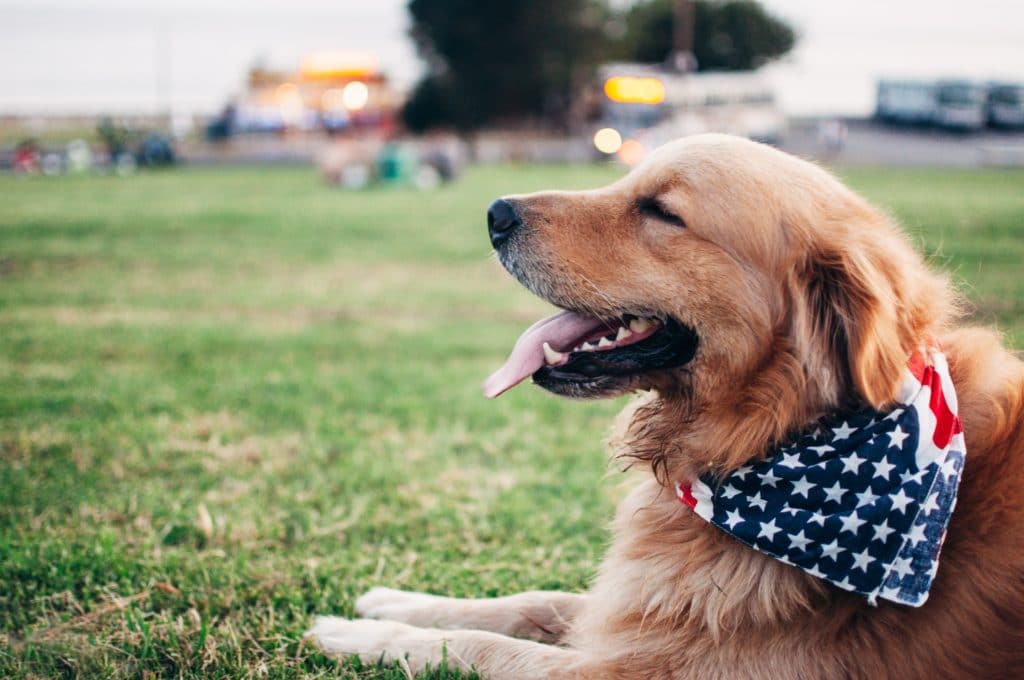 Best 4th of July events in Los Angeles