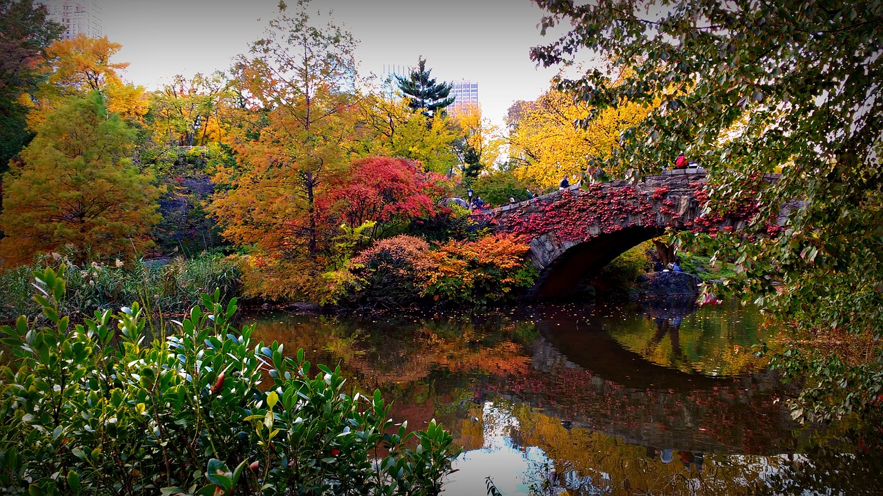 A bridge in Central Park in Autumn