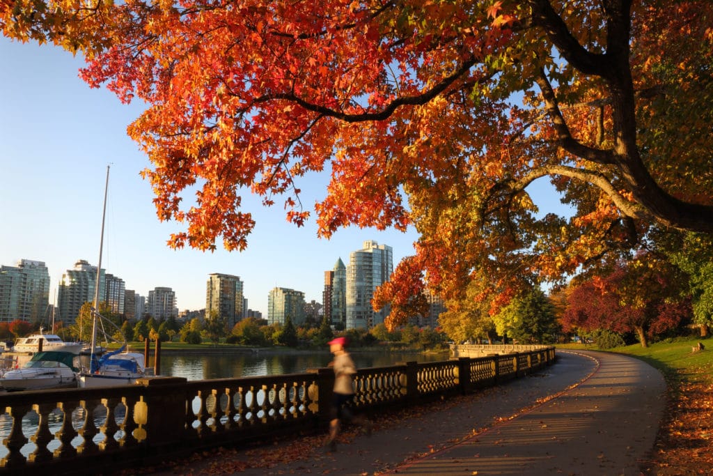 Stanley Park, Vancouver, in Autumn