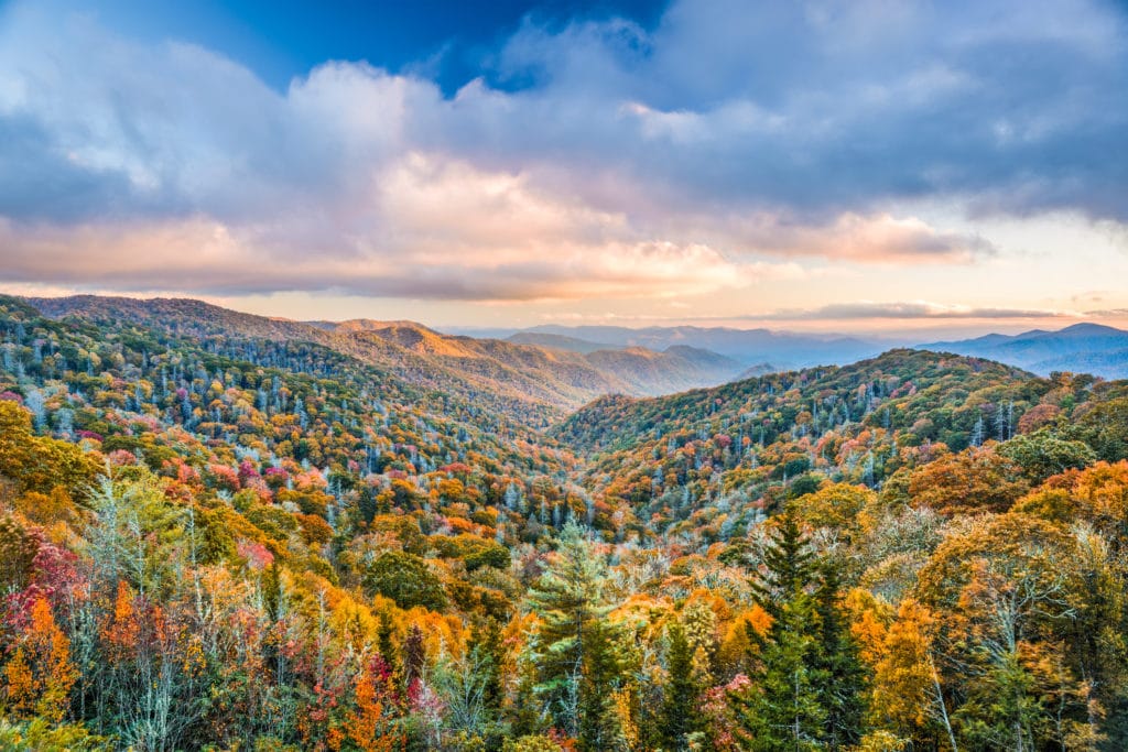 Smoky Mountains in Autumn