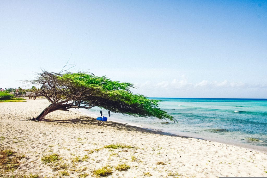 Travel Tips for Aruba, Eagle Beach