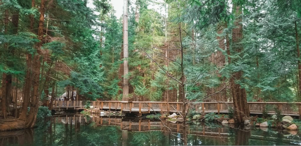 Capilano Suspension Bridge Park, Vancouver