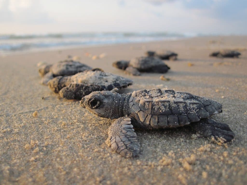 Costa Rica in October