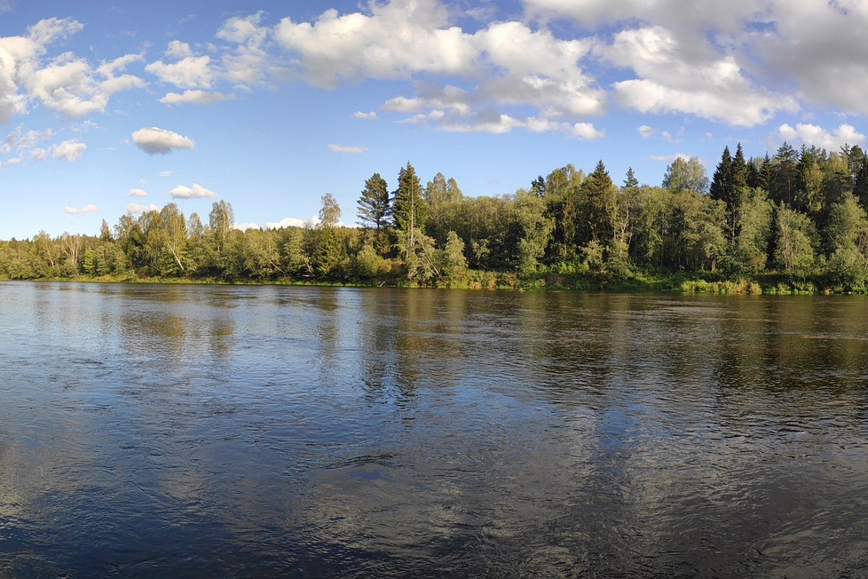 A river in Gauja National Park