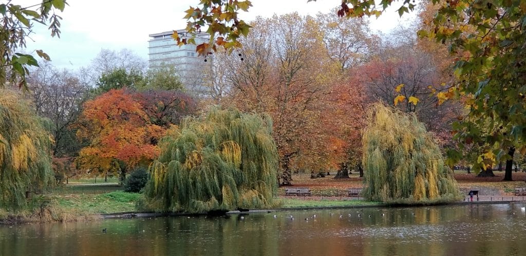 Fall foliage at Hyde Park in London