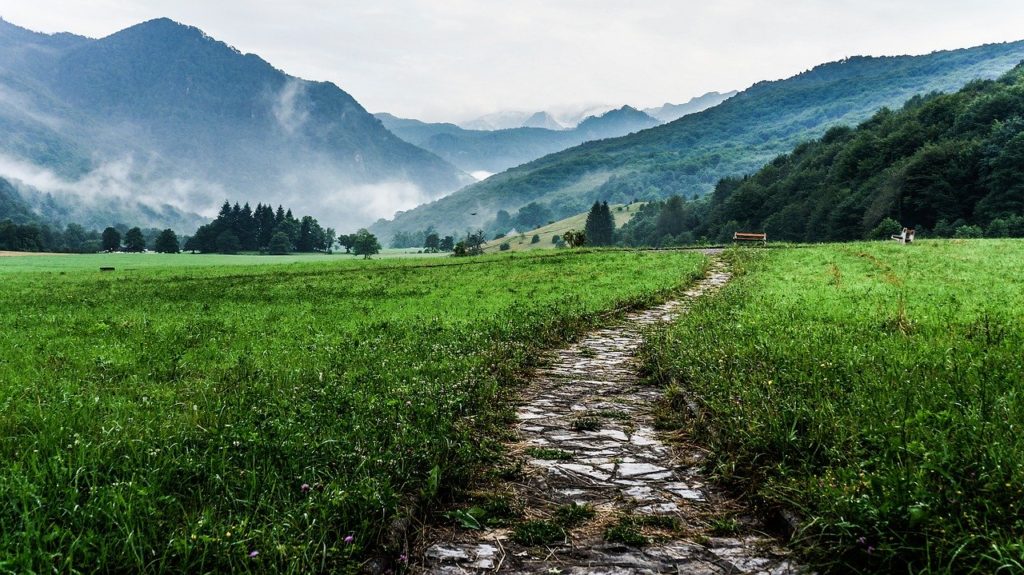 hiking path