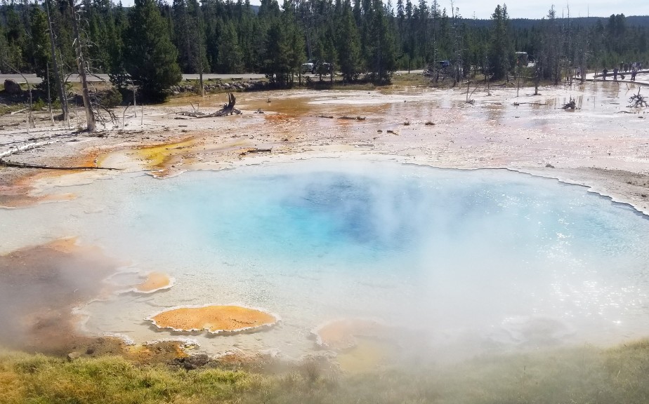 Geysir Basin - Yellowstone