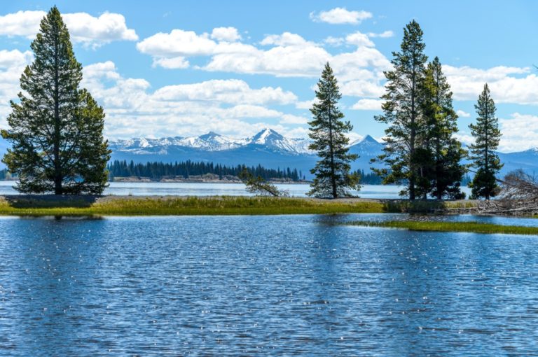 yellowstone national park tours from billings