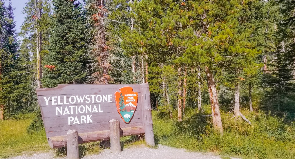 Yellowstone Road Trip