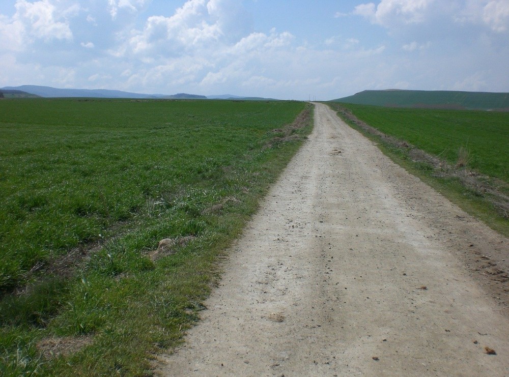 Camino de Santiago