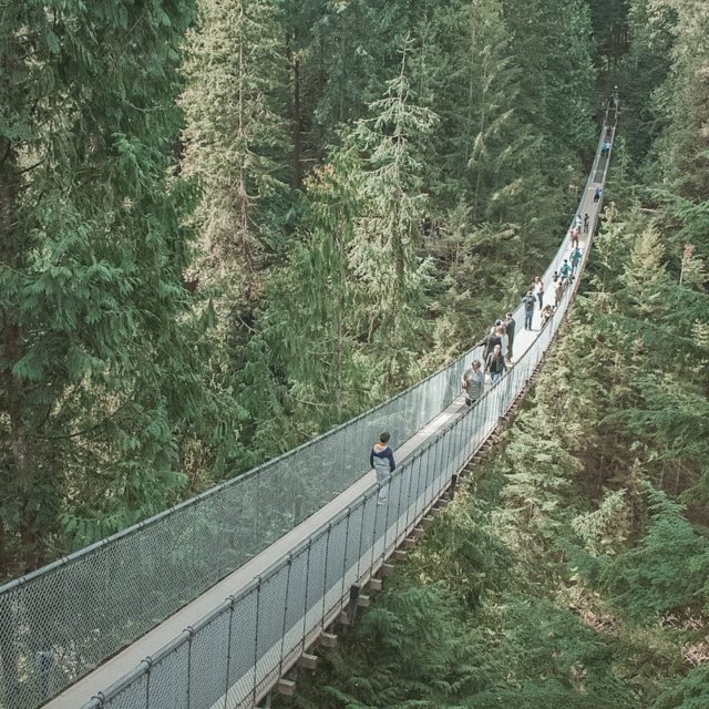 Capilano Suspension Bridge Facts