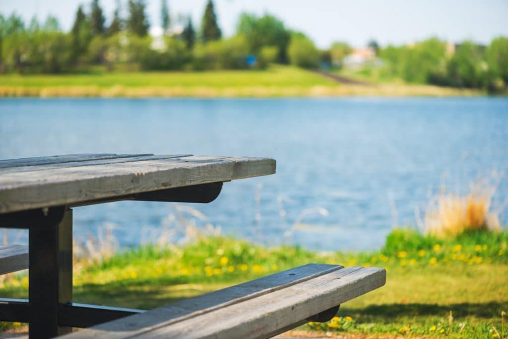 Picnic Table