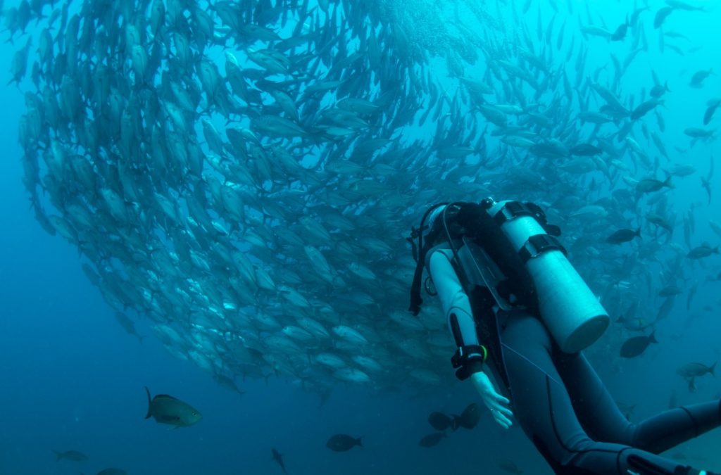 SCUBA in Squamish, BC