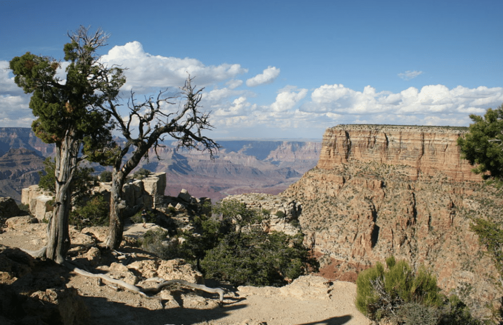 Moran Point - Grand Canyon 