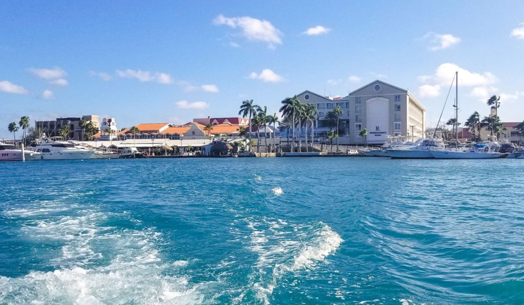 flamingo beach tour aruba