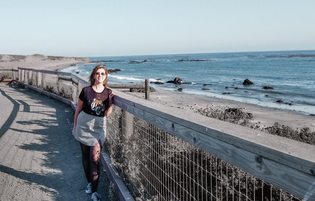 San Simeon and Piedras Blancas Elephant Seal Rookery