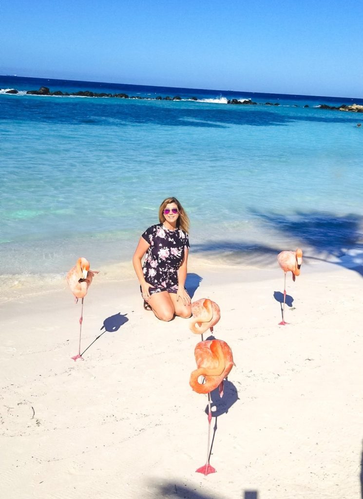 Flamingos at Flamingo Beach Aruba