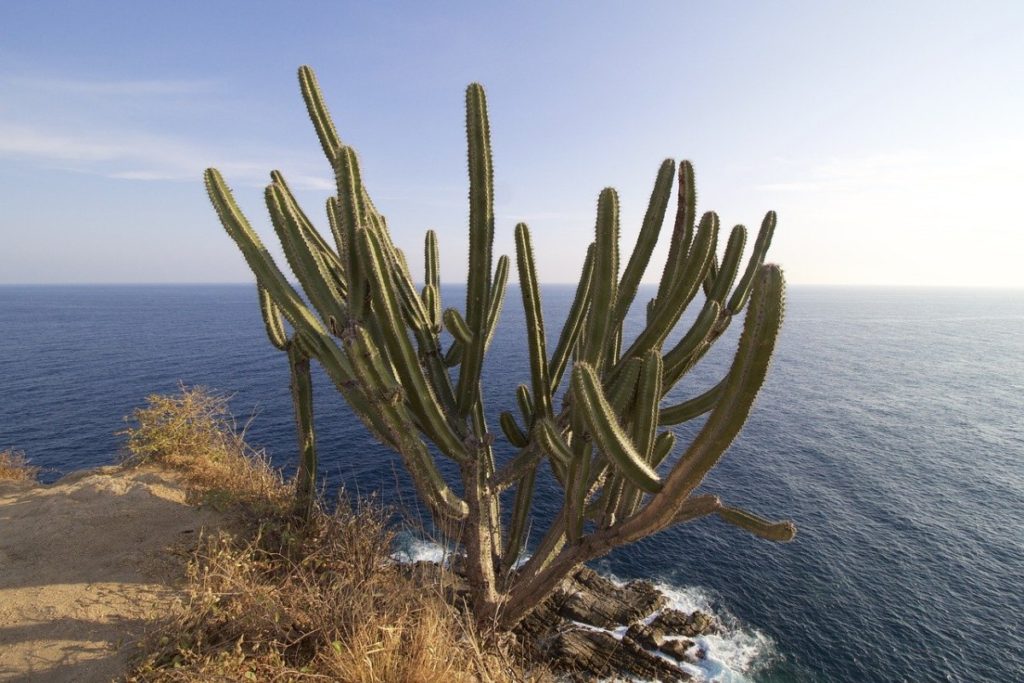 Huatulco Bay Mexico