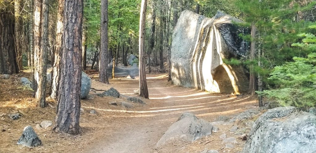 Mirror Lake Trail 