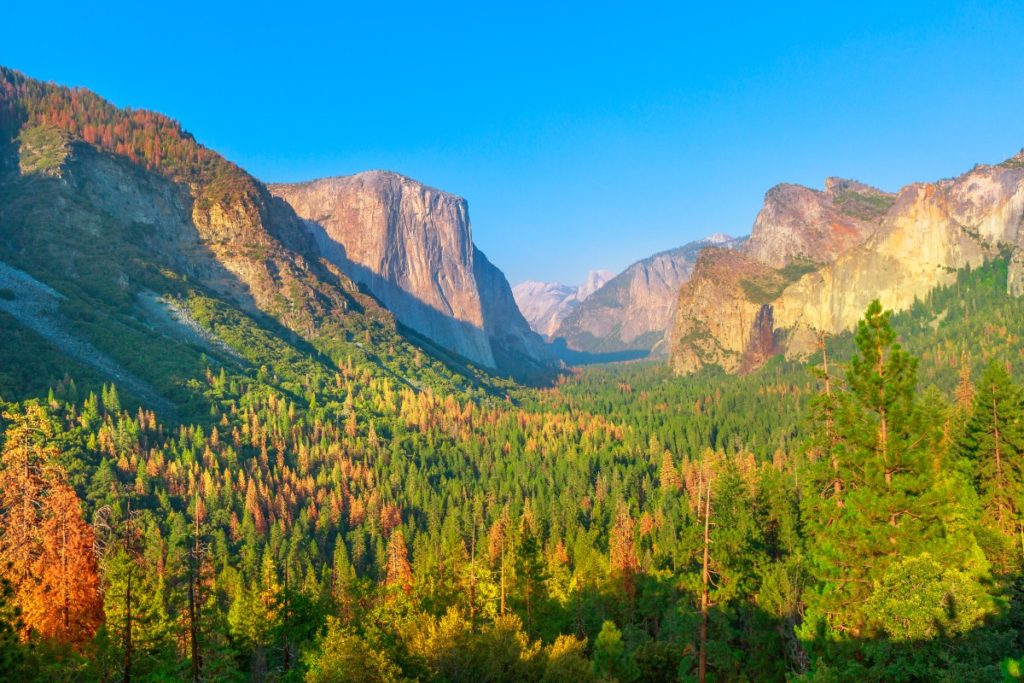 Sunrise Yosemite Valley
