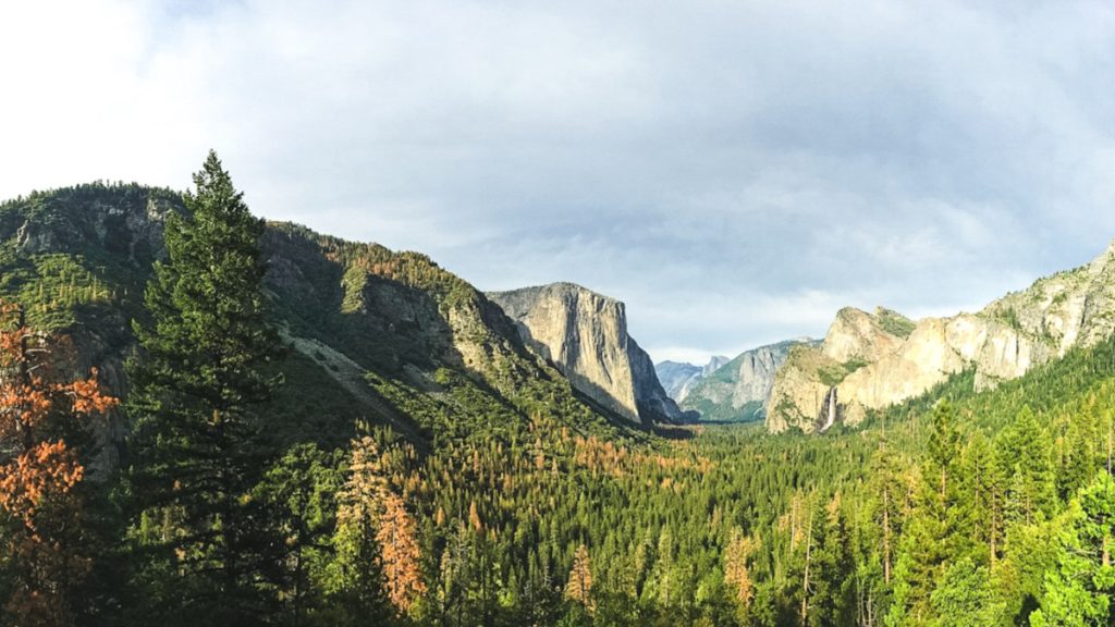 Tunnel view sunrise