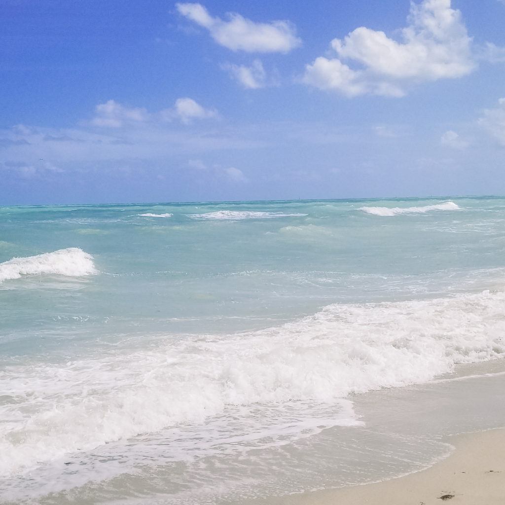 Beach in Miami