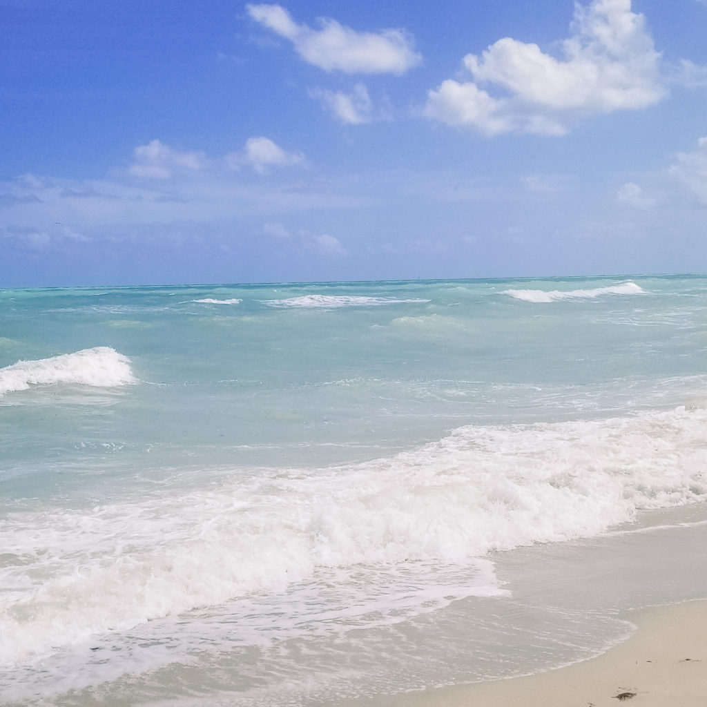 Florida Beaches with clear water