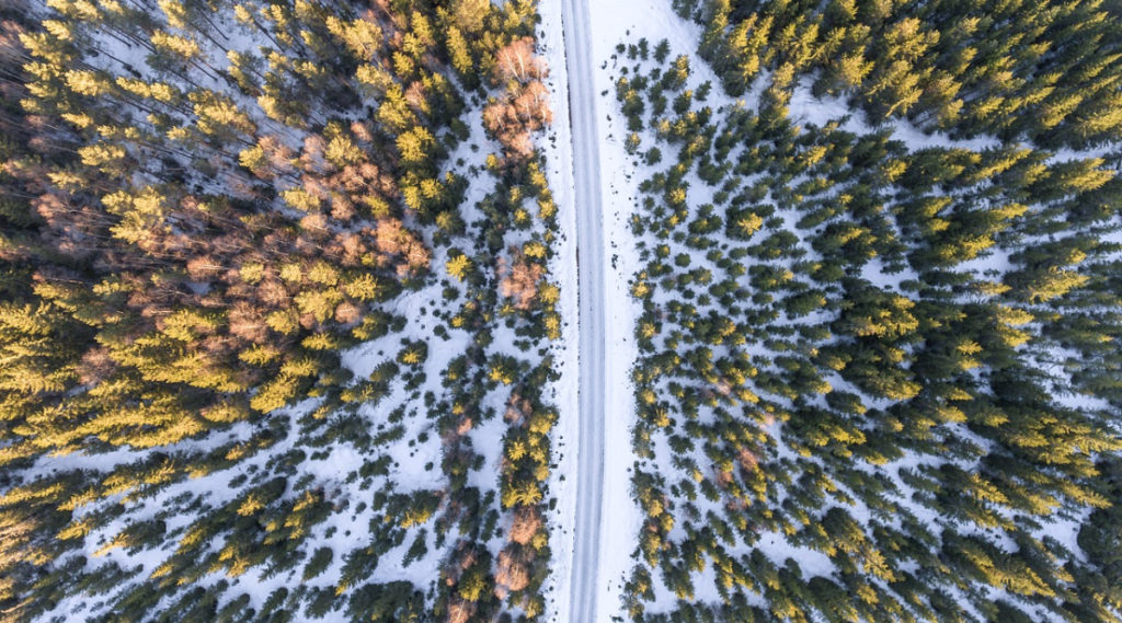 Road trip in winter