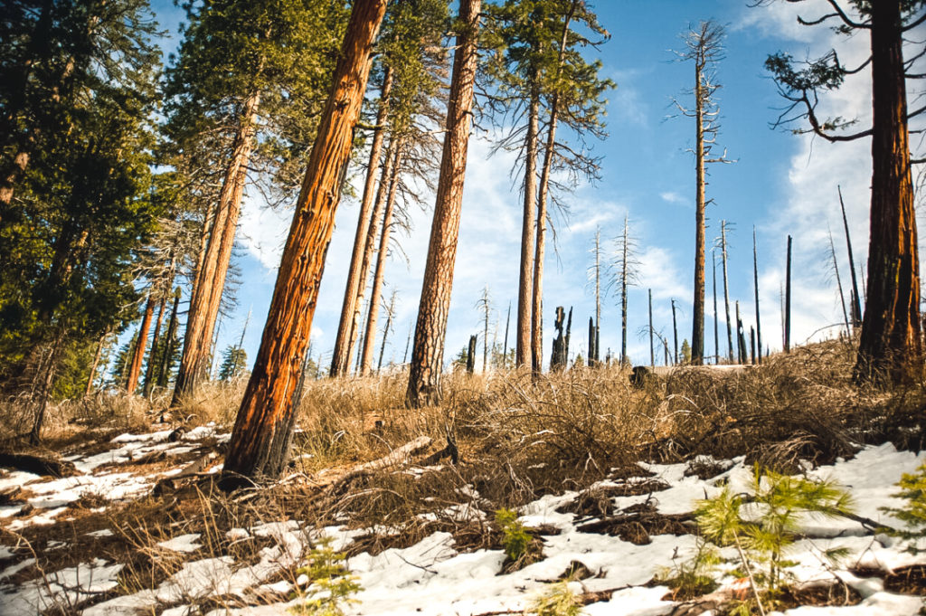 Hiking in winter in yosemite