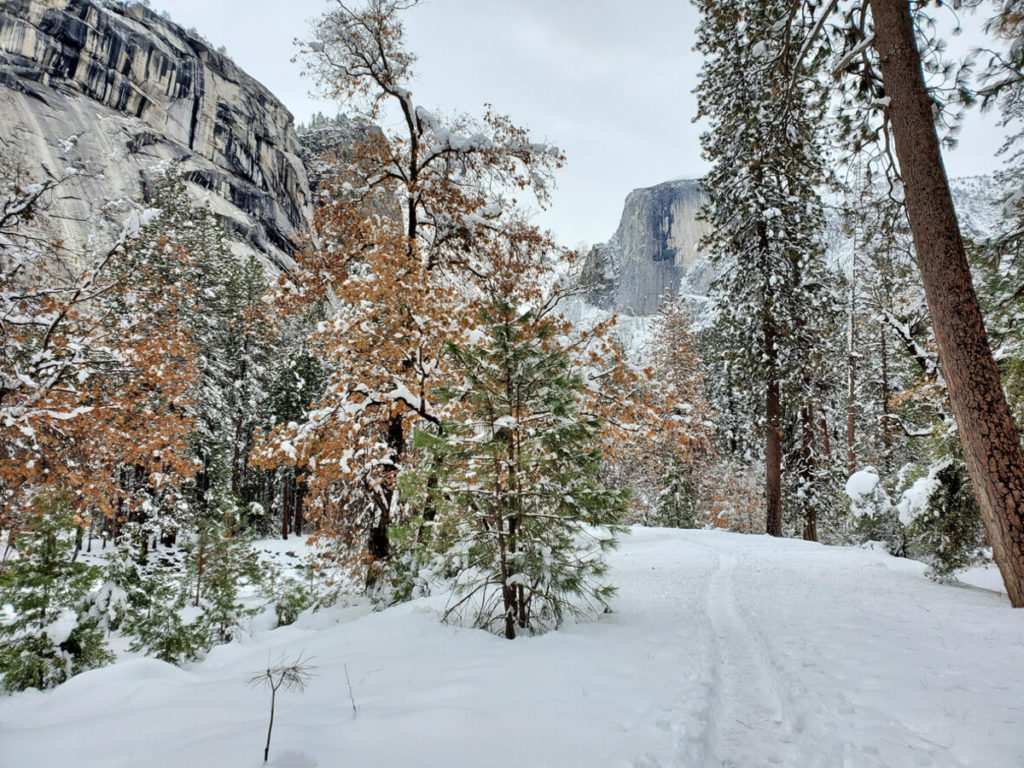 Skiing in Yosemite in Winter