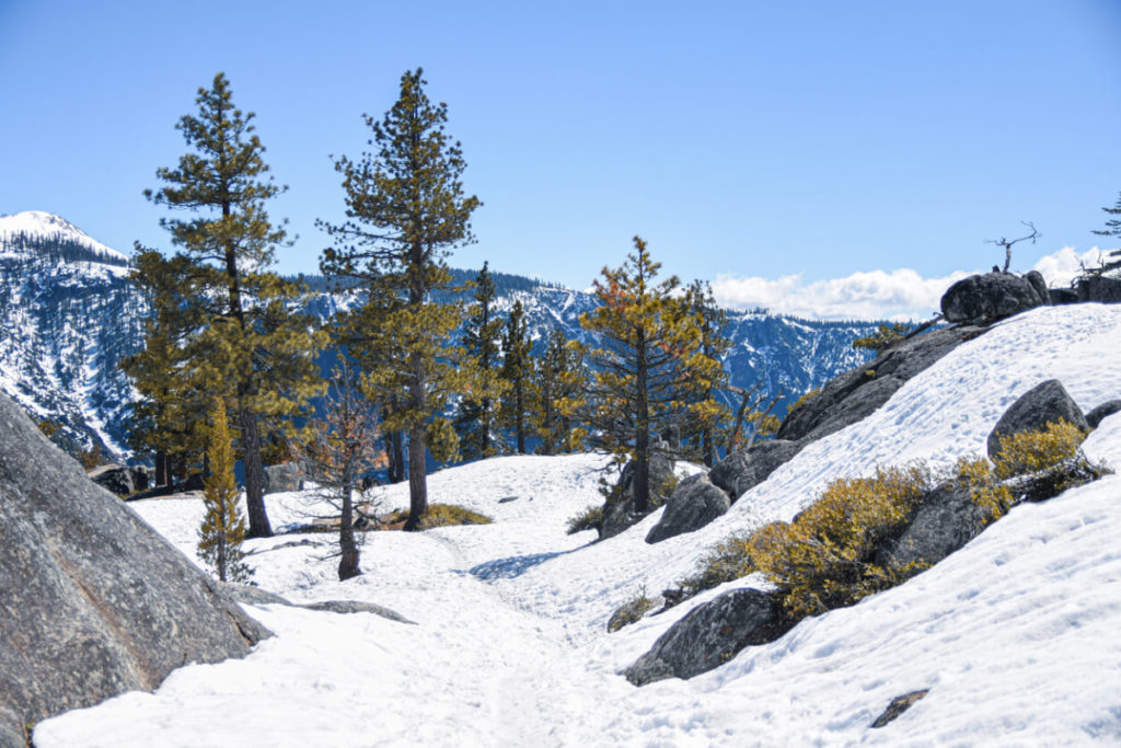 Snow covered trail in Yosemite