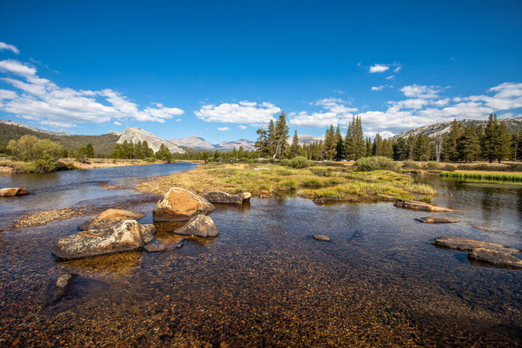 Visiting Yosemite - Tuolumne Meadows