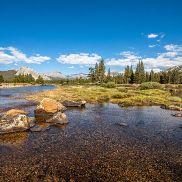 Visiting Yosemite - Tuolumne Meadows