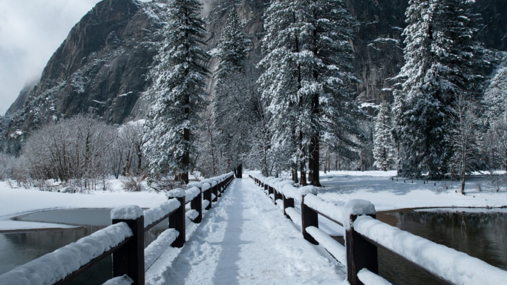 Winter in Yosemite National Park