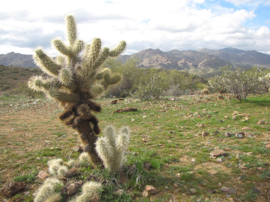 Black Canyon Arizona