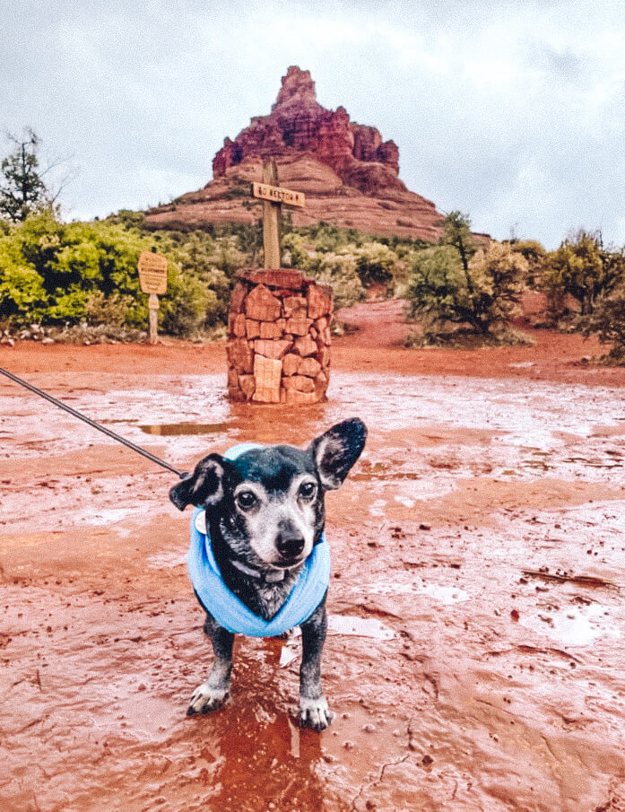 Melvin in Sedona in Winter