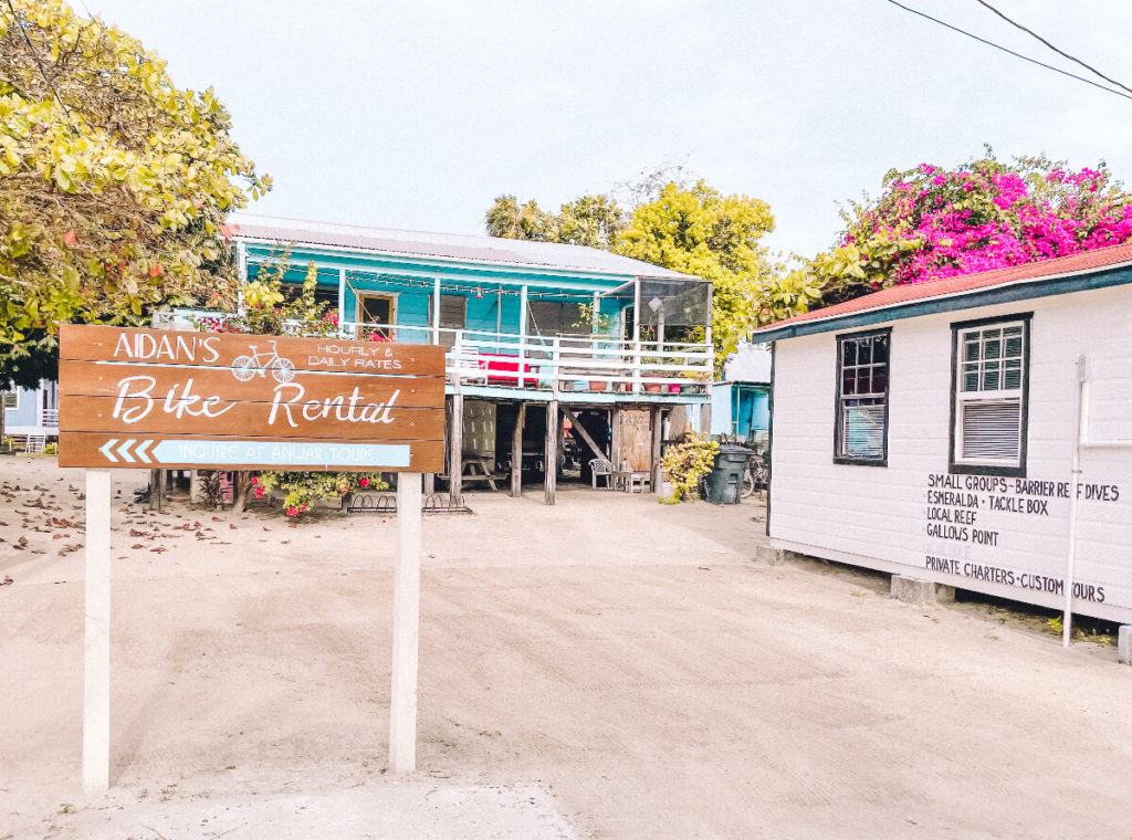 Bike Rental in Caye Caulker