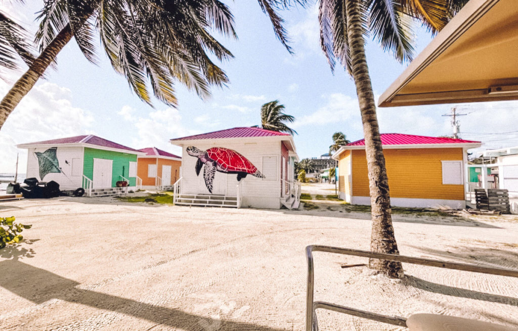 Caye Caulker Belize