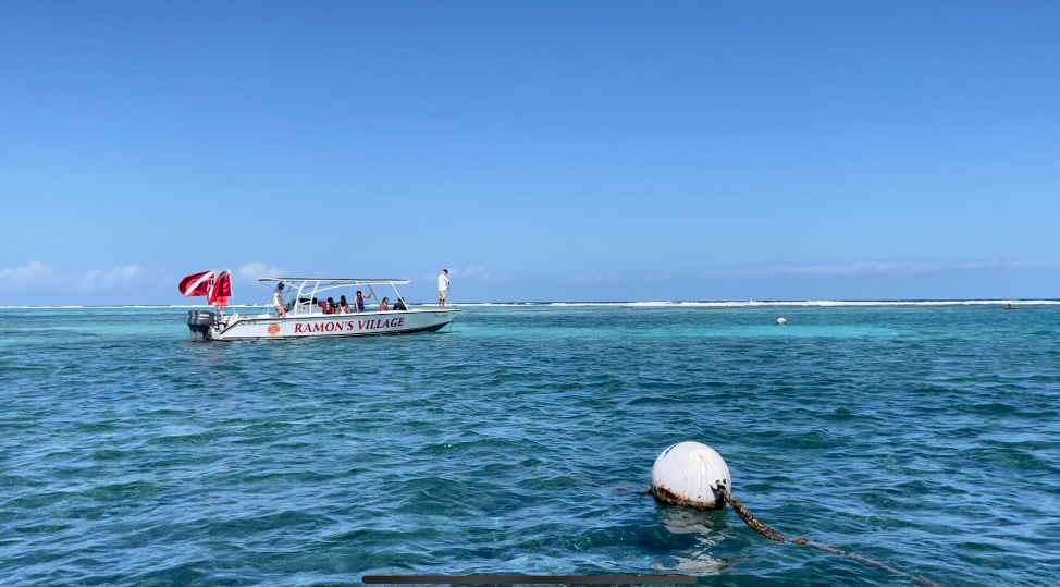 Snorkel the barrier reef