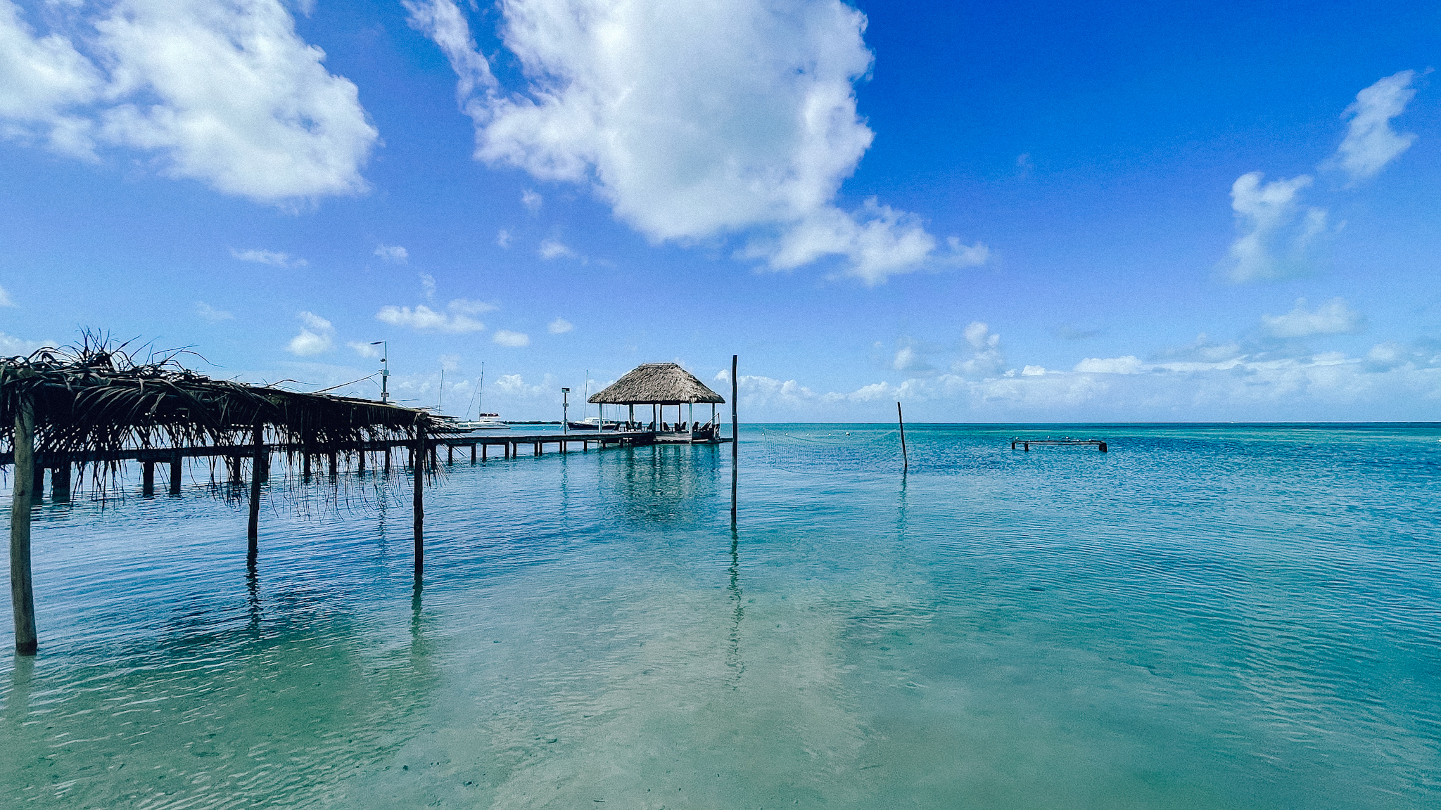 Caye Caulker Snorkeling Tours