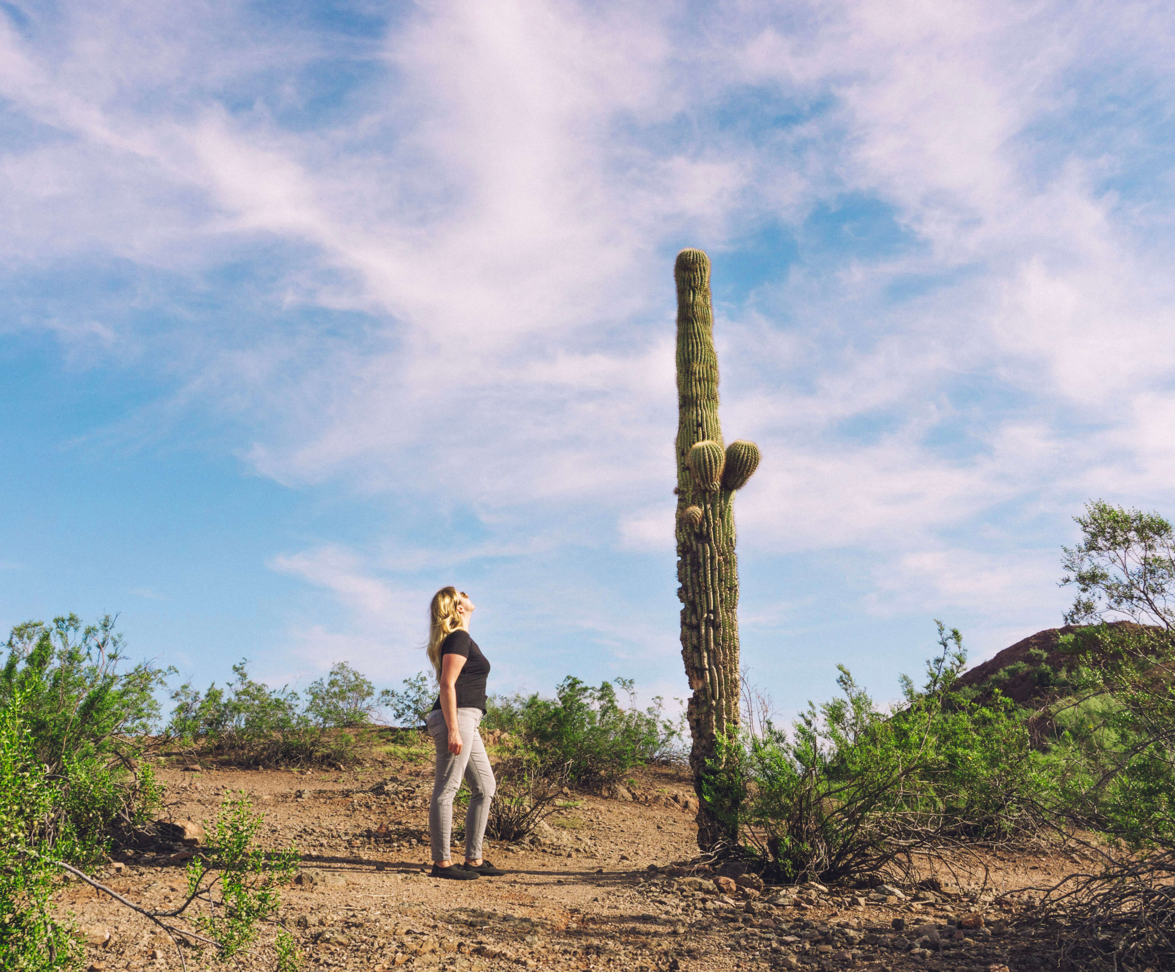 Papago Park Phoenix 